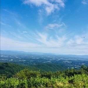 Meet your Posher, Susannah